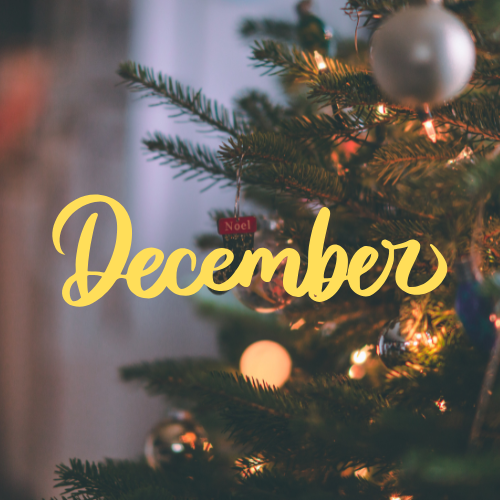 2025年12月キャンペーン