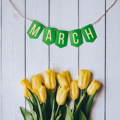 2026年3月キャンペーン