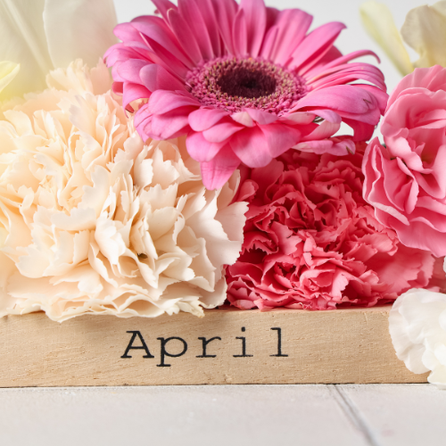 2026年4月キャンペーン