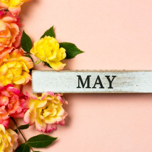 2026年5月キャンペーン