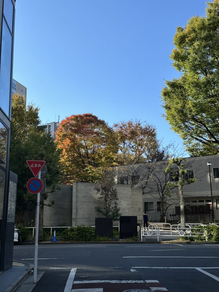 髪の毛も冬仕様にしていきましょう
