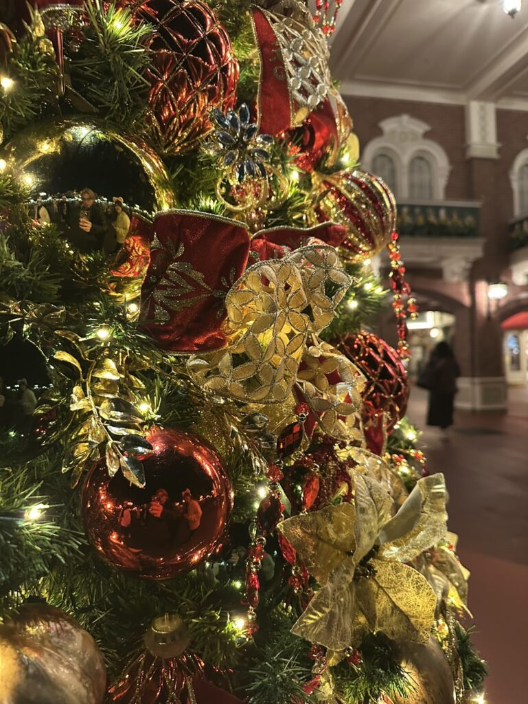 もうクリスマス気分です
