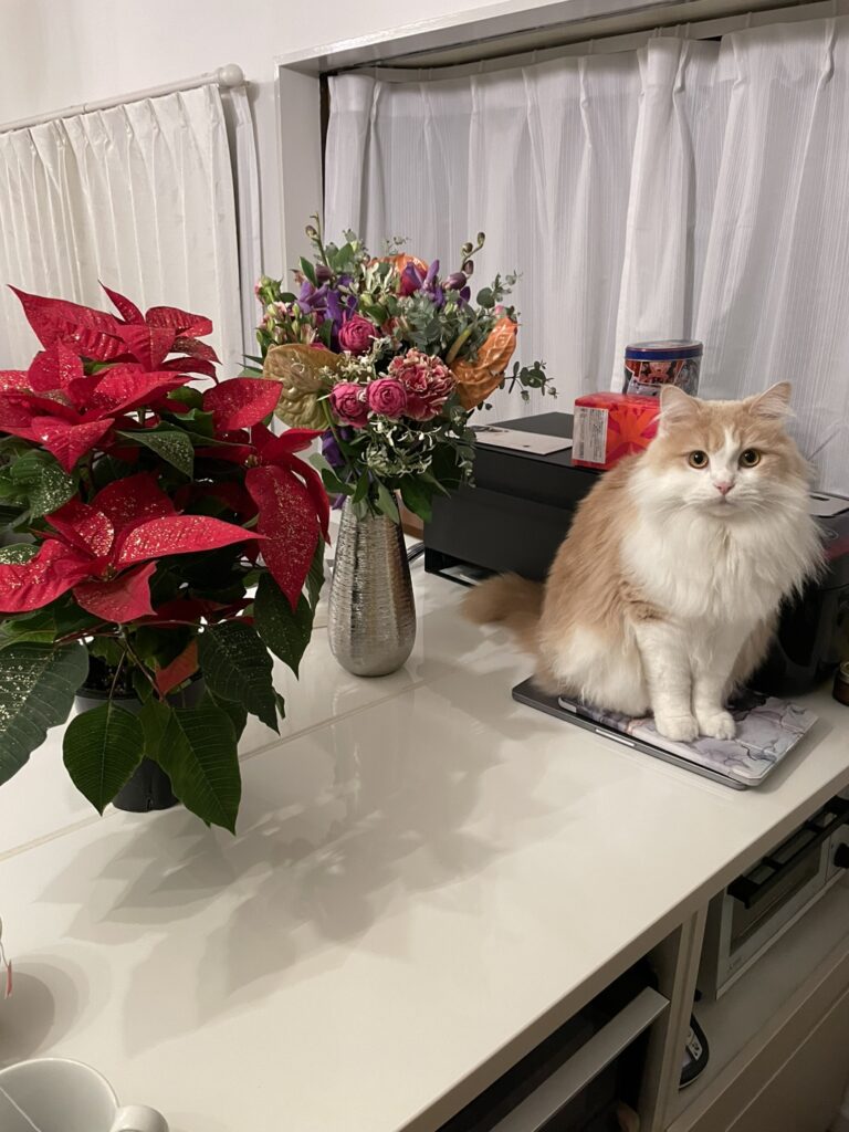今年のクリスマス