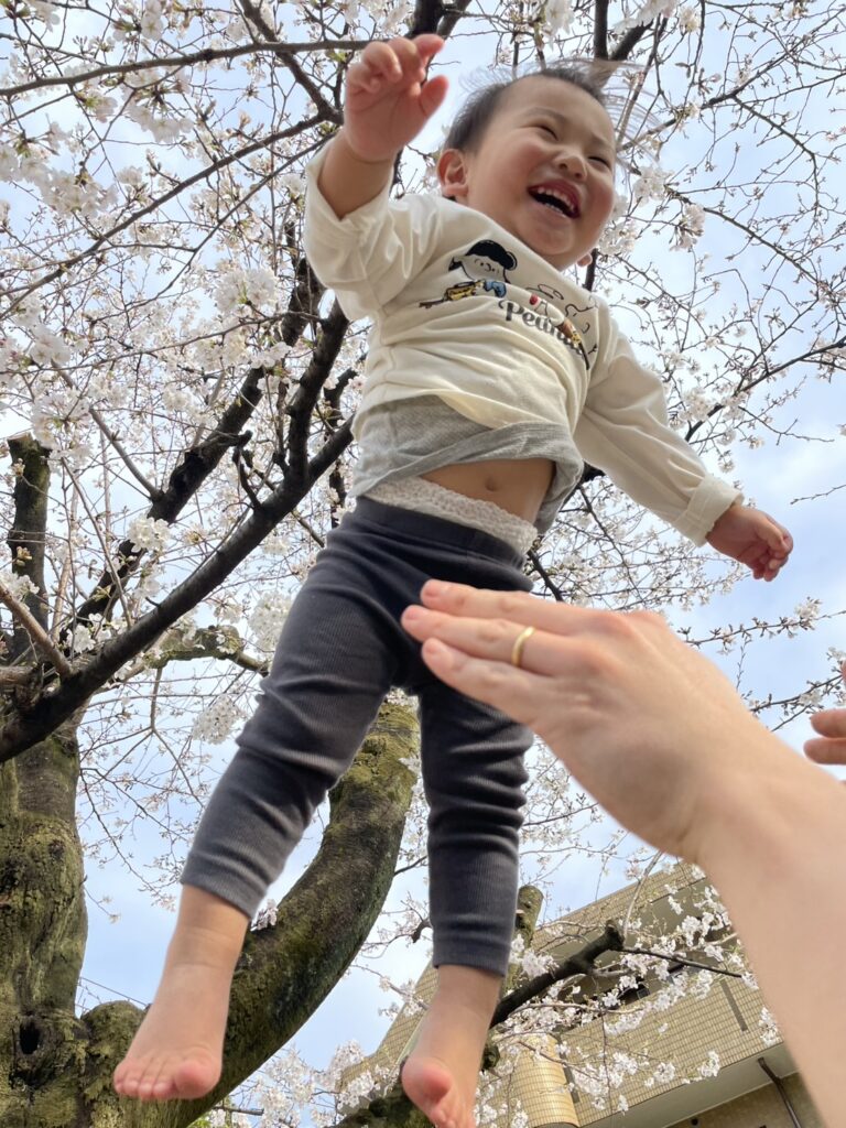 お花見スポット教えてください！