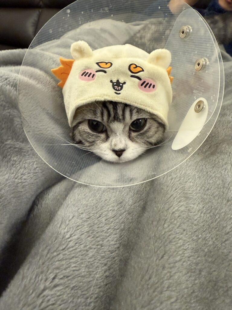 術後の様子