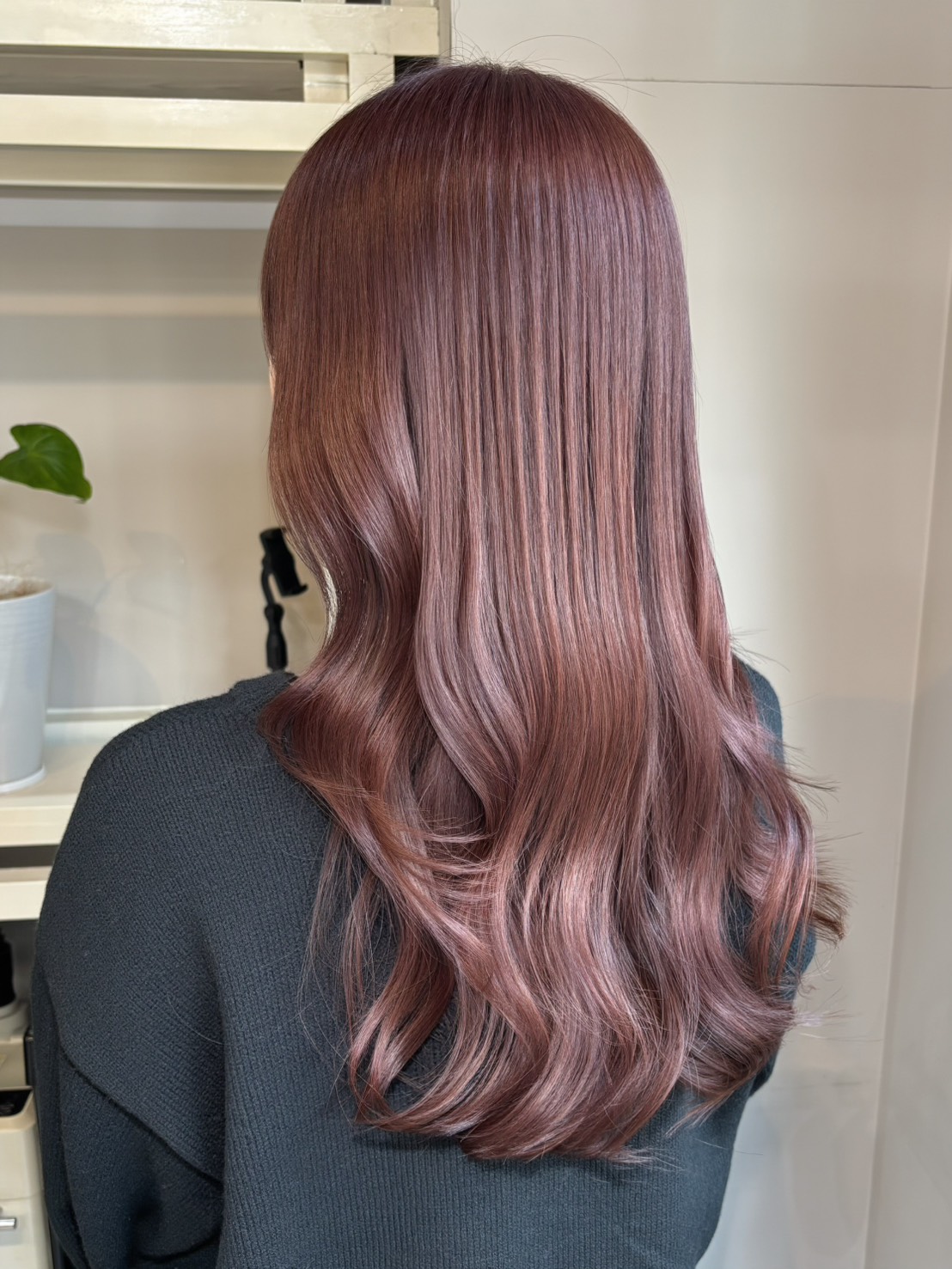 春にぴったりな