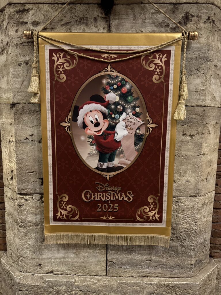 クリスマスディズニー！