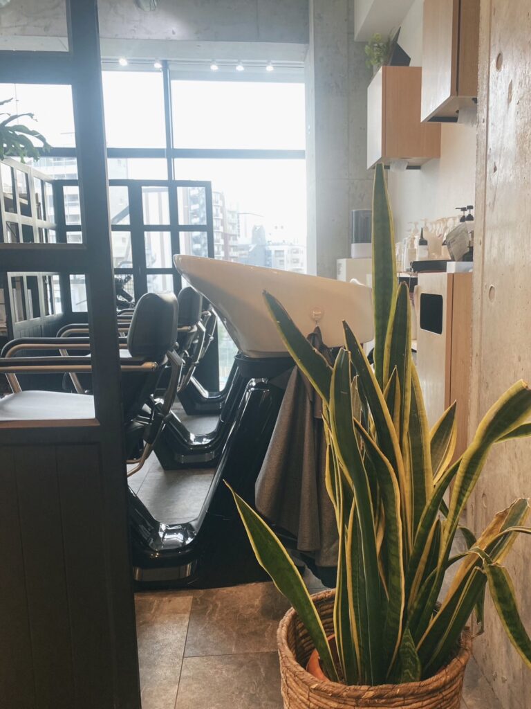 あっという間の6ヶ月