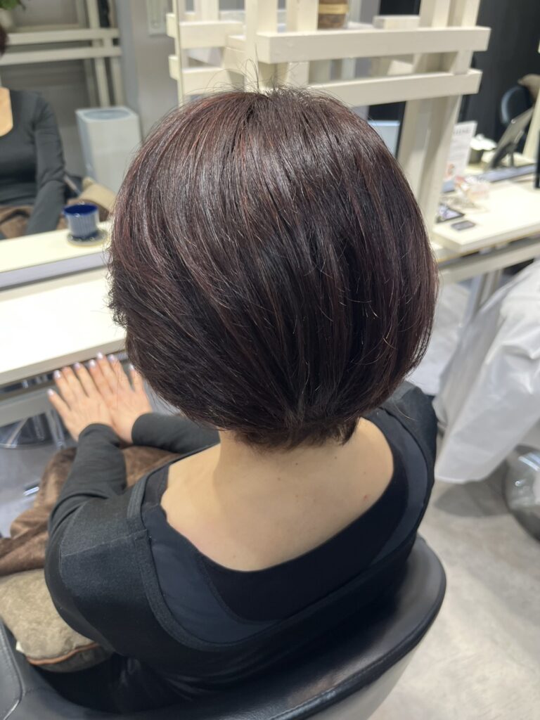 春にピッタリ